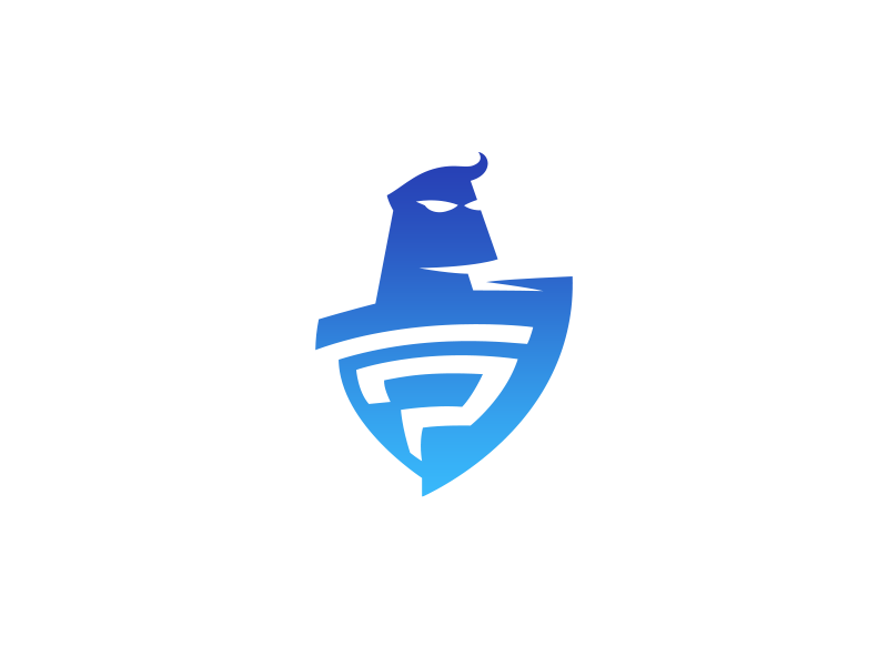 privacy guard logo design
